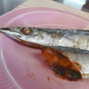 秋刀魚の塩焼き。きんぴらごぼう。味噌汁。玄米ご飯。